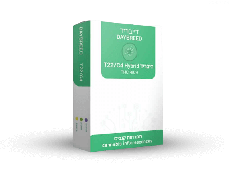 קנאביס רפואי תפרחת דייבריד - T22/C4 - Daybreed איי איי די קאן יום\לילה - היברידי