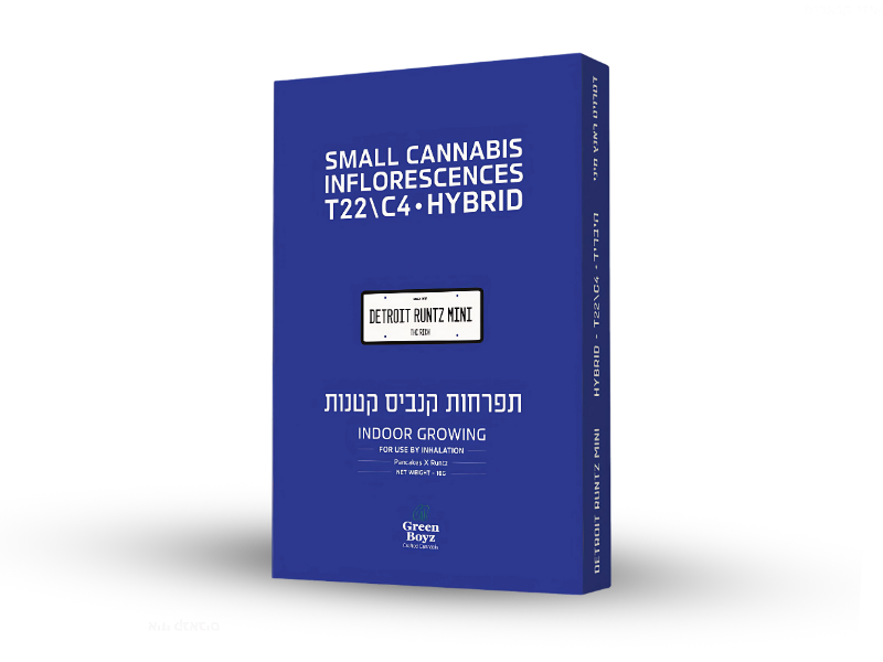 קנאביס רפואי תפרחת דטרויט ראנץ מיני - T22/C4 - Detroit Runtz Mini גרין בויז יום\לילה - היברידי