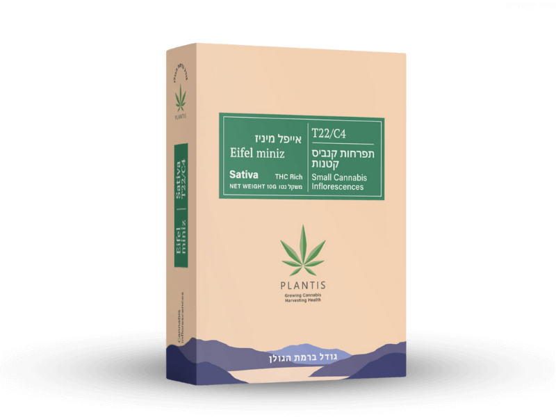 קנאביס רפואי תפרחת אייפל מיניז - T22/C4 - Eifel Mini פלאנטיס יום - סאטיבה