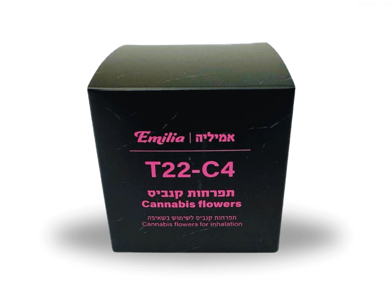 קנאביס רפואי תפרחת אמיליה - T22/C4 - Emilia דוד וגוליית לילה - אינדיקה