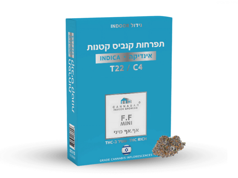 קנאביס רפואי תפרחת אף.אף מיני - T22/C4 - F.F קנאבר לילה - אינדיקה