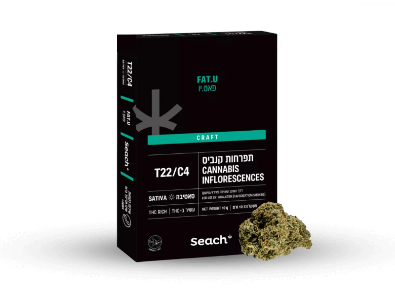 קנאביס רפואי תפרחת פאט יו - T22/C4 - Fat.U שיח מדיקל יום - סאטיבה