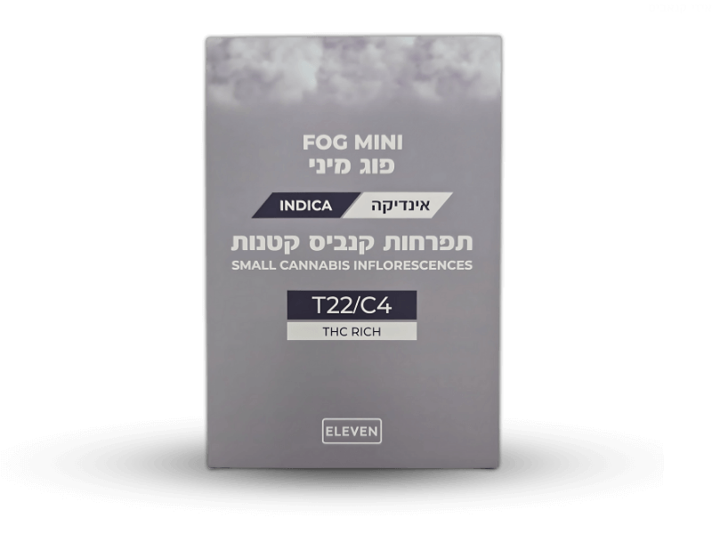 קנאביס רפואי תפרחת פוג מיני - T22/C4 - Fog Mini גרינמד לילה - אינדיקה