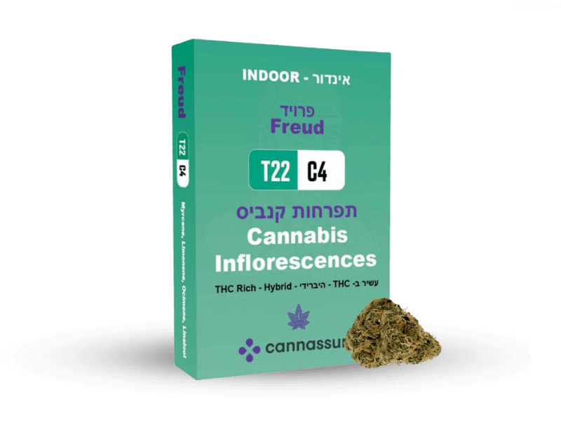 קנאביס רפואי תפרחת פרויד - T22/C4 - Freud קנאשור יום\לילה - היברידי