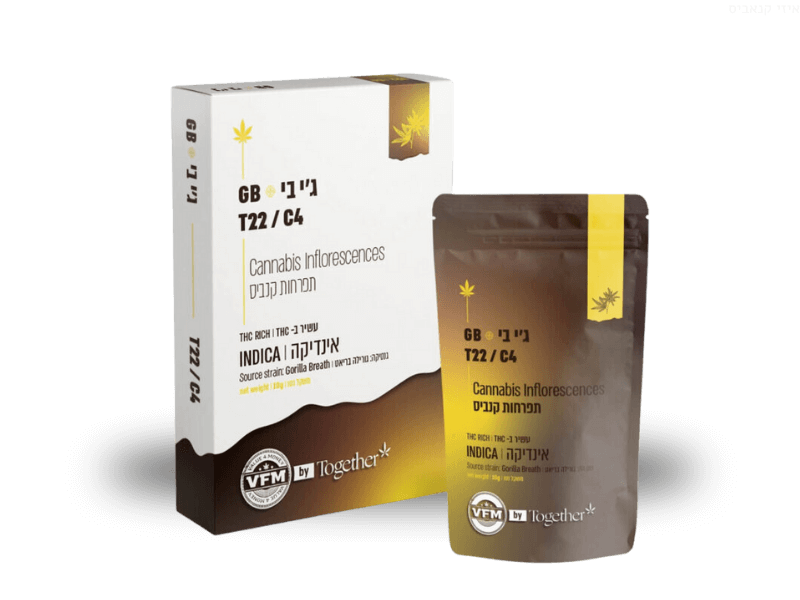 קנאביס רפואי תפרחת ג'י בי - T22/C4 - G‎.‎B טוגדר פארמה לילה - אינדיקה