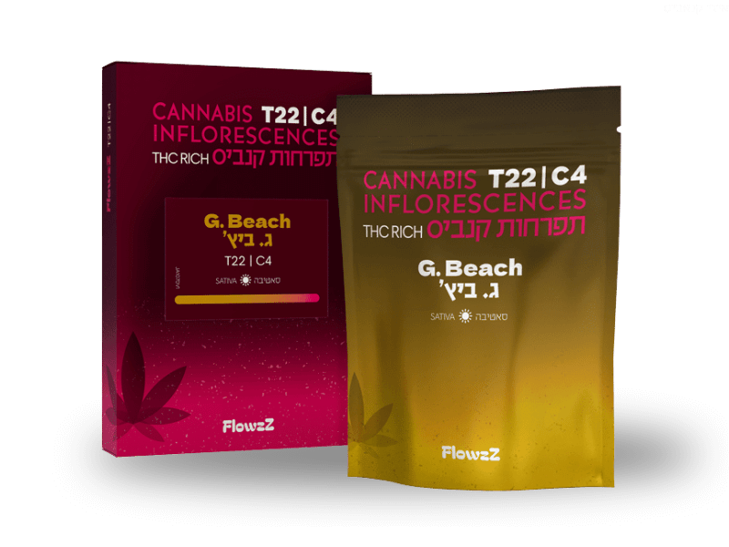 קנאביס רפואי תפרחת ג'י.ביץ' - T22/C4 - G‎.‎Beach בזלת פארמה יום - סאטיבה