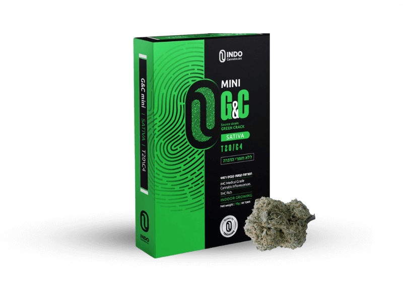 קנאביס רפואי תפרחת ג'י&סי מיני - T22/C4 - G&C Mini טריכום יום - סאטיבה