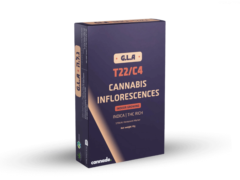 קנאביס רפואי תפרחת ג.ל.ה - T22/C4 - G.L.A טוגדר פארמה לילה - אינדיקה