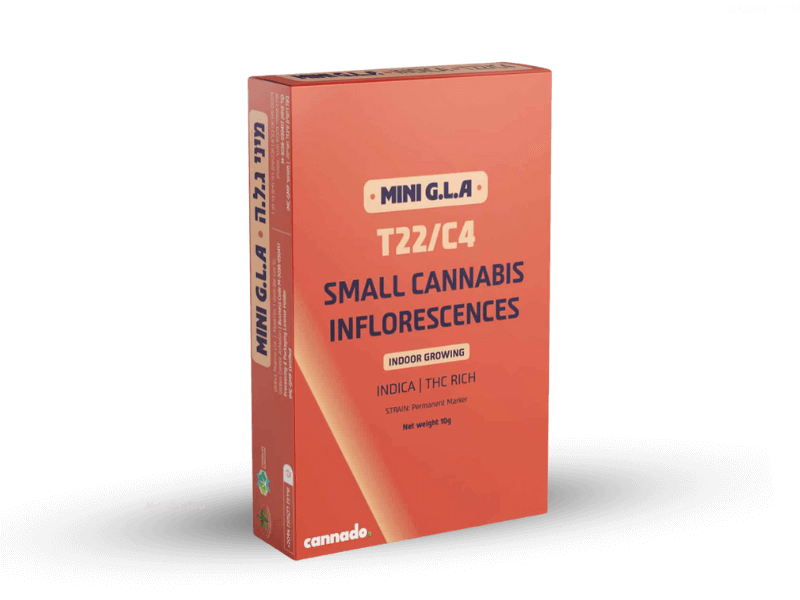 קנאביס רפואי תפרחת ג.ל.ה מיני - T22/C4 - G.L.A Mini טוגדר פארמה לילה - אינדיקה