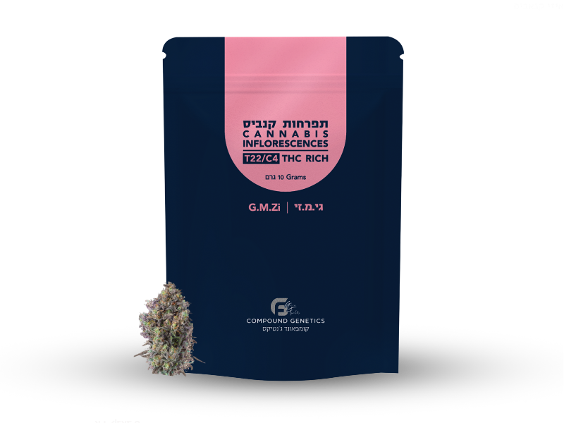 קנאביס רפואי תפרחת גי.אם.זי - T22/C4 - G.M.Zi גרין פילדס לילה - אינדיקה