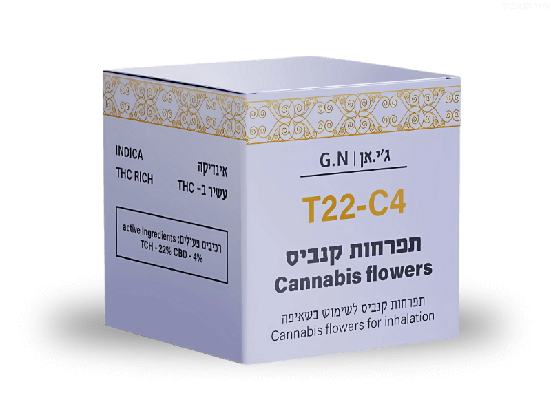 קנאביס רפואי תפרחת ג'י.אן - T22/C4 - G.N דוד וגוליית לילה - אינדיקה