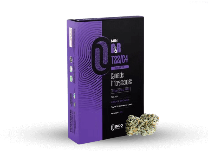 קנאביס רפואי תפרחת ג'י&אר מיני - T22/C4 - G&R Mini טריכום יום\לילה - היברידי