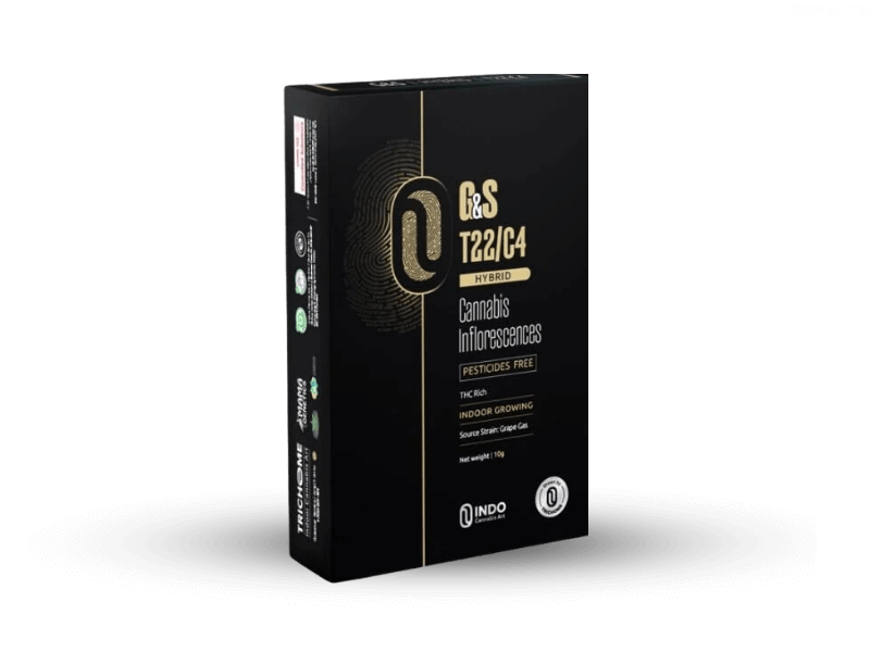 קנאביס רפואי תפרחת ג'י&אס - T22/C4 - G&S טריכום יום\לילה - היברידי