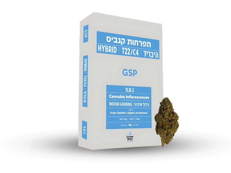 קנאביס רפואי תפרחת ג.ס.פ - T22/C4 - G.S.P גרין בויז יום\לילה - היברידי