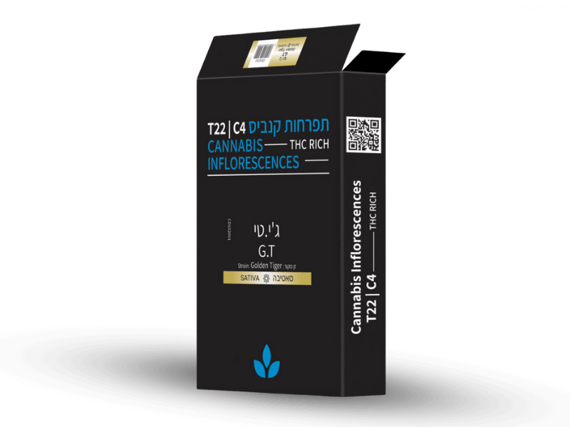 קנאביס רפואי תפרחת ג'י.טי - T22/C4 - G.T קנדוק יום - סאטיבה
