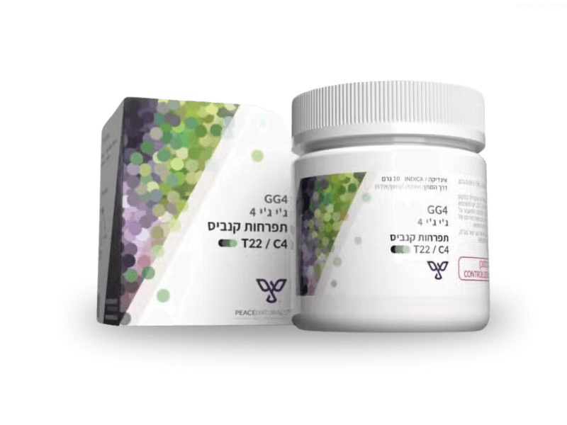 קנאביס רפואי תפרחת ג'י ג'י 4 - T22/C4 - GG4 פיס נטורלס לילה - אינדיקה