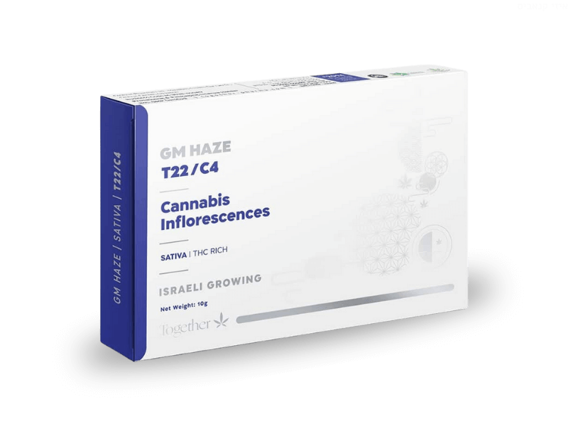 קנאביס רפואי תפרחת ג'י אם הייז - T22/C4 - GM Haze טוגדר פארמה יום - סאטיבה