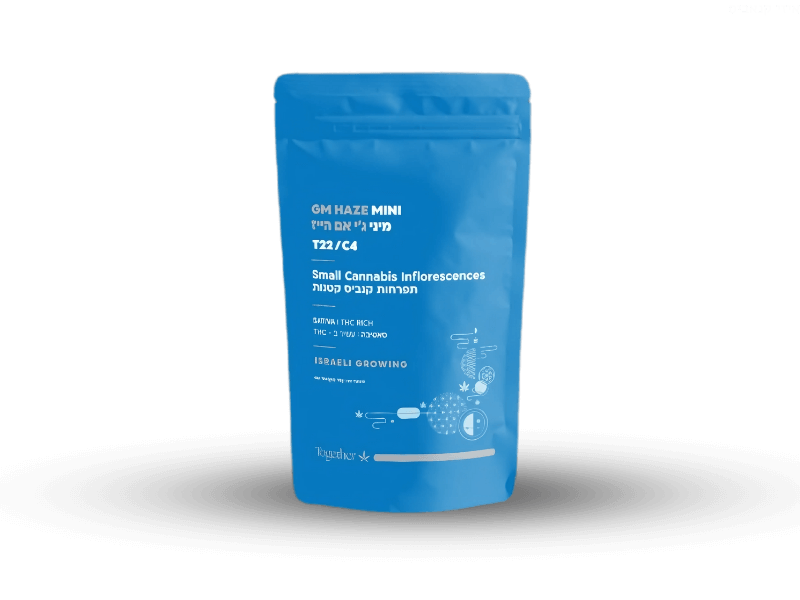קנאביס רפואי תפרחת ג’י אם הייז מיני - T22/C4 - GM Haze Mini טוגדר פארמה יום - סאטיבה