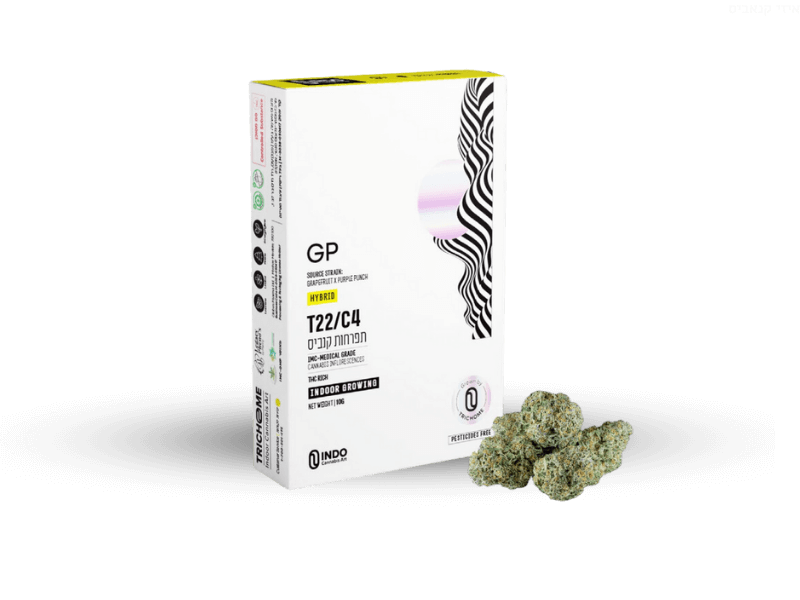 קנאביס רפואי תפרחת ג'י פי (GP) - T22/C4 - GP טריכום יום\לילה - היברידי