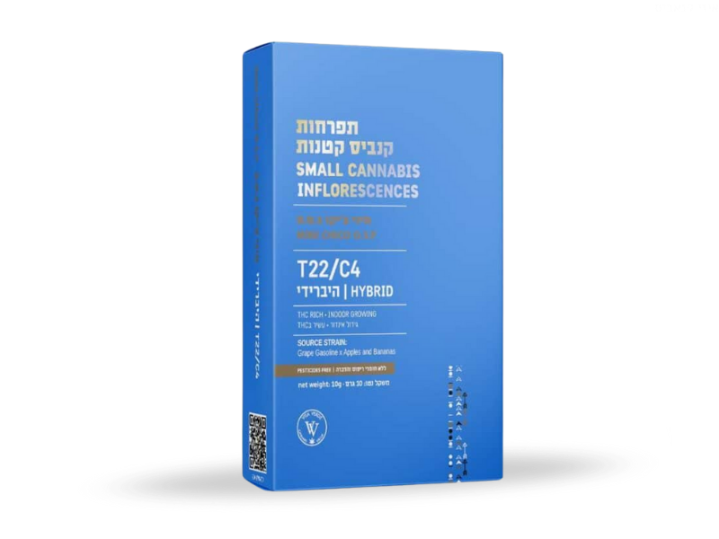 קנאביס רפואי תפרחת ג.ס.פ צ'יקו מיני - T22/C4 - GSP Chico Mini ויטה ורדה יום\לילה - היברידי