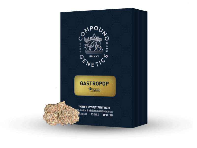 קנאביס רפואי תפרחת גסטרופופ - T22/C4 - Gastropop גרין פילדס יום\לילה - היברידי