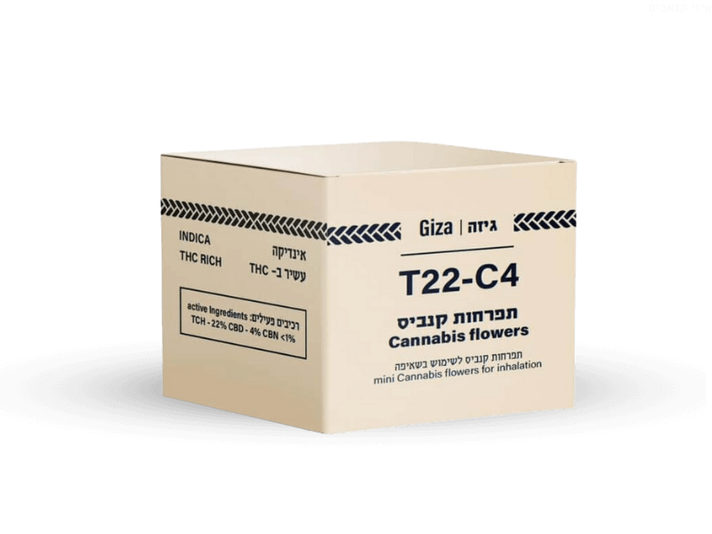 קנאביס רפואי תפרחת גיזה - T22/C4 - Giza דוד וגוליית לילה - אינדיקה