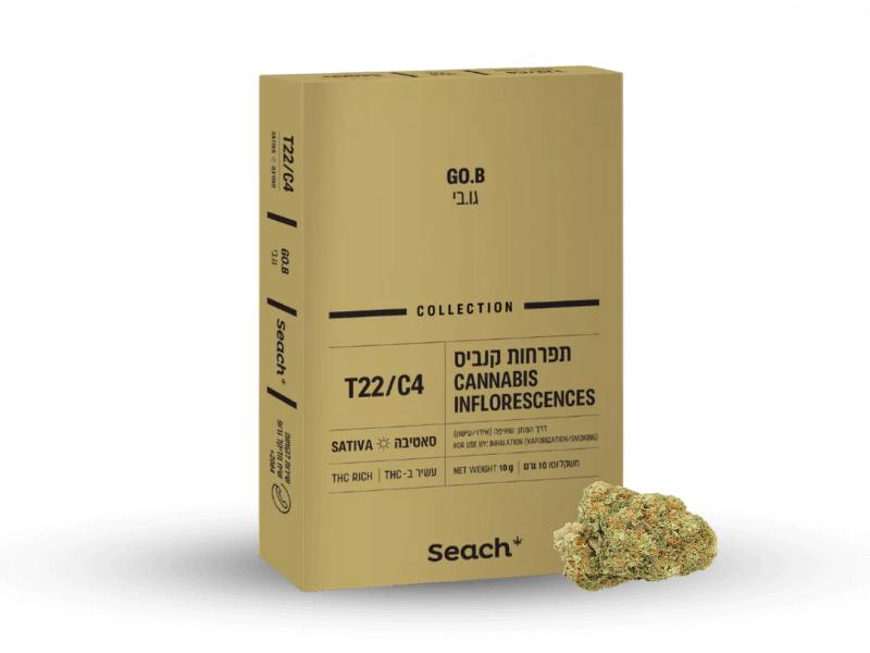 קנאביס רפואי תפרחת גו.בי - T22/C4 - Go.B שיח מדיקל יום - סאטיבה