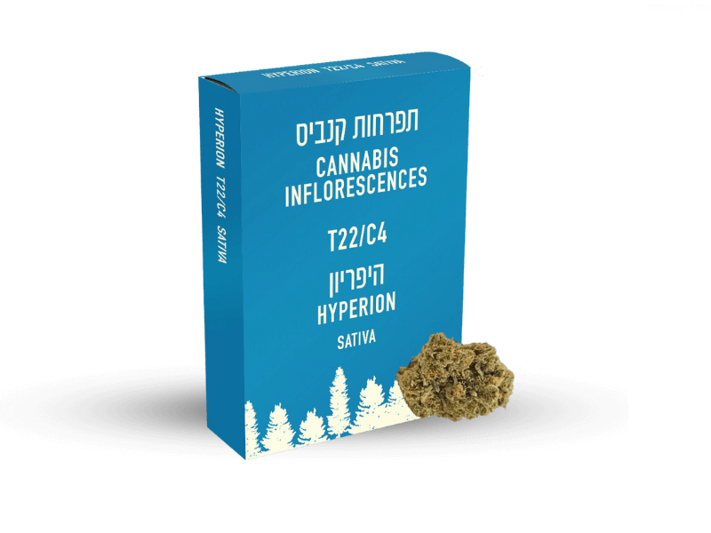 קנאביס רפואי תפרחת היפריון - T22/C4 - HYPERION תיקון עולם יום - סאטיבה