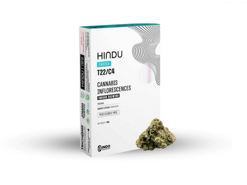 קנאביס רפואי תפרחת הינדו - T22/C4 - Hindu טריכום לילה - אינדיקה