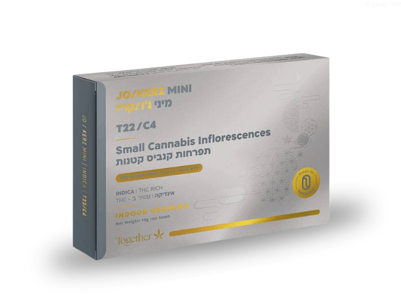 קנאביס רפואי תפרחת ג'ו/קרז מיני  - T22/C4 - Jo/kerz Mini טוגדר פארמה לילה - אינדיקה