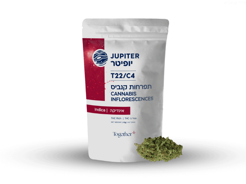 קנאביס רפואי תפרחת יופיטר - T22/C4 - Jupiter טוגדר פארמה לילה - אינדיקה