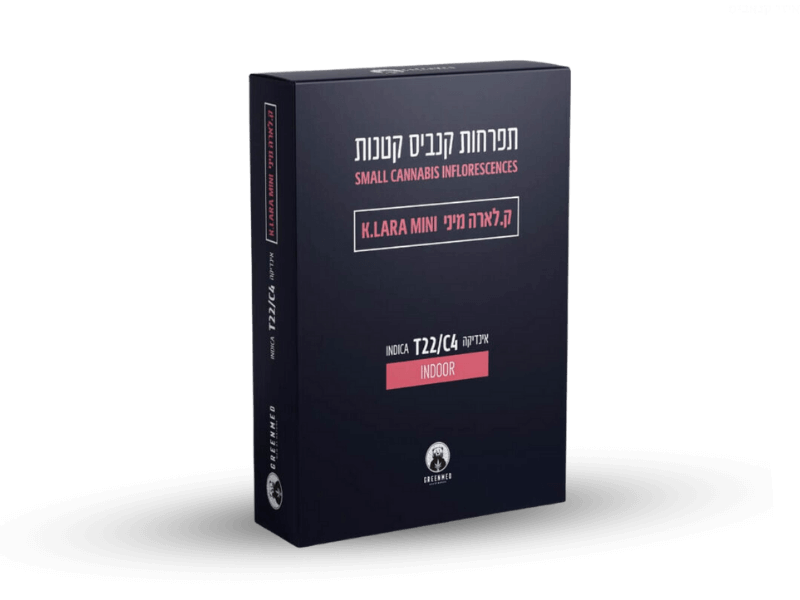 קנאביס רפואי תפרחת קיי.לארה מיני - T22/C4 - K.Lara Mini גרינמד לילה - אינדיקה