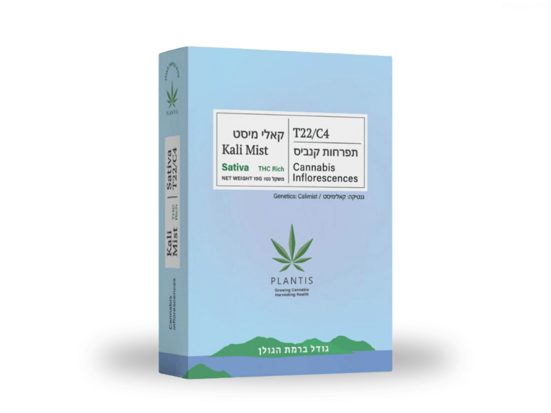 קנאביס רפואי תפרחת קאלי מיסט - T22/C4 - Kali Mist פלאנטיס יום - סאטיבה