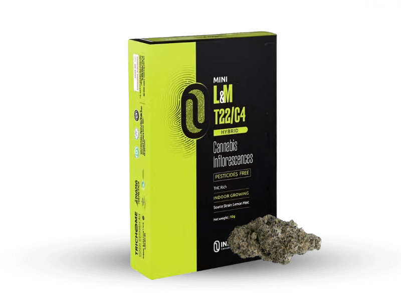 קנאביס רפואי תפרחת אל&אם מיני - T22/C4 - L&M Mini טריכום יום\לילה - היברידי