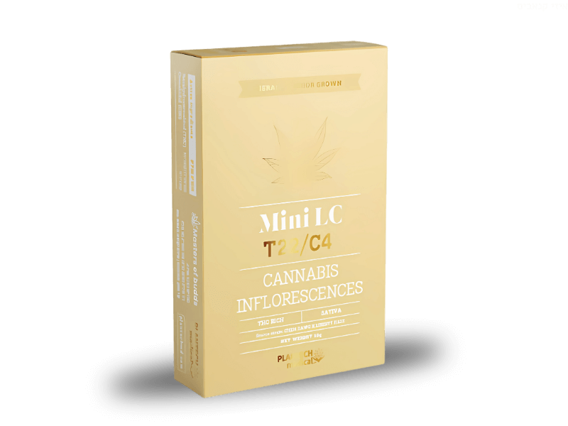 קנאביס רפואי תפרחת אל סי מיני - T22/C4 - LC Mini פלאנטק מדיקל יום - סאטיבה