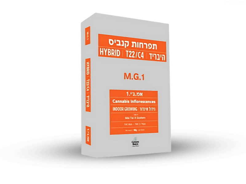 קנאביס רפואי תפרחת אמ.ג'י.1 - T22/C4 - M‎.‎G‎.‎1 גרין בויז יום\לילה - היברידי