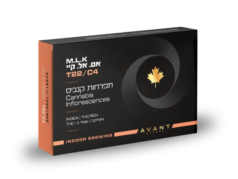 קנאביס רפואי תפרחת אם. אל. קיי - T22/C4 - M.L.K טוגדר פארמה לילה - אינדיקה