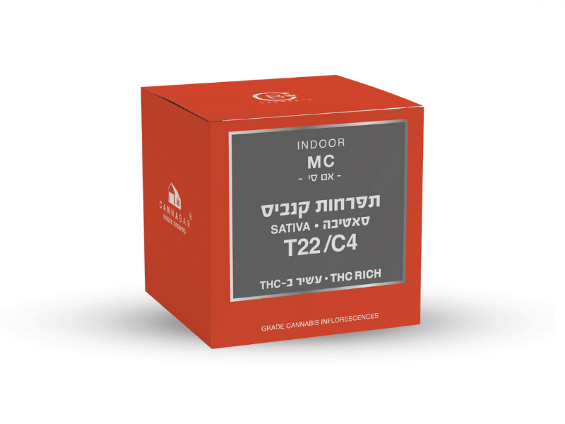 קנאביס רפואי תפרחת אם סי - T22/C4 - MC קנאבר יום - סאטיבה