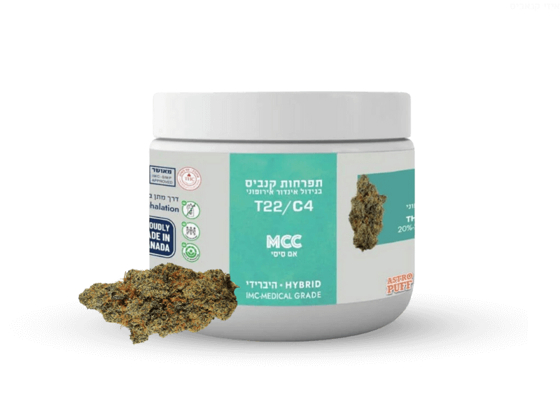 קנאביס רפואי תפרחת אם סי סי - T22/C4 - MCC ארטוס יום\לילה - היברידי
