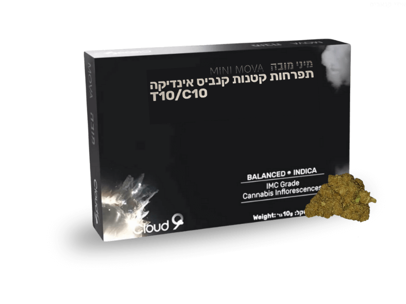 קנאביס רפואי תפרחת מיני מובה - T10/C10 - Mini Mova גרינקום לילה - אינדיקה