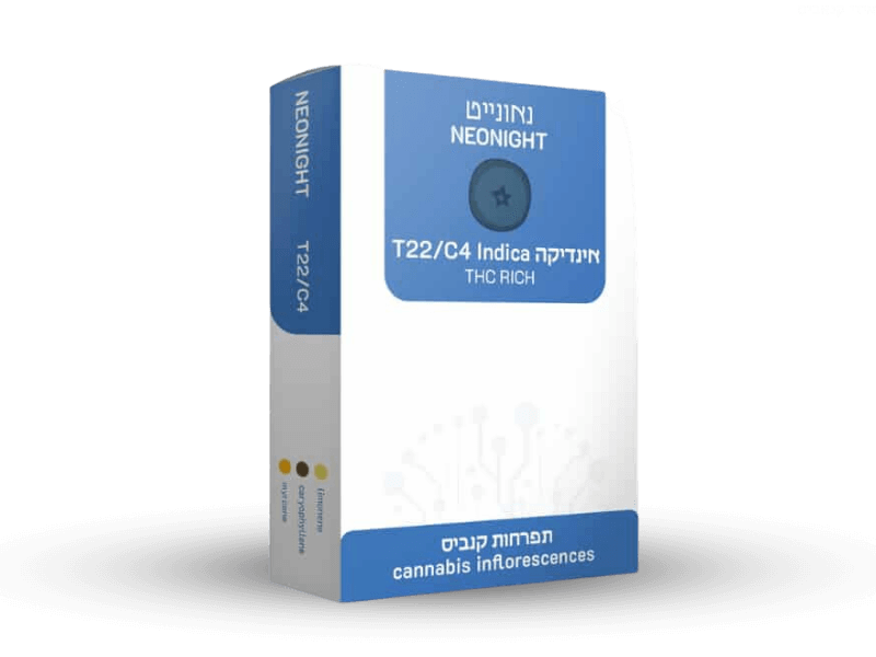 קנאביס רפואי תפרחת נאונייט - T22/C4 - Neonight איי איי די קאן לילה - אינדיקה