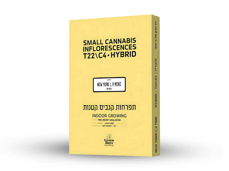 קנאביס רפואי תפרחת ניו יורק אל.וי מיני - T22/C4 - New York L.V Mini גרין בויז יום\לילה - היברידי