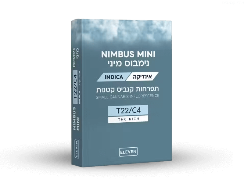 קנאביס רפואי תפרחת נימבוס מיני - T22/C4 - Nimbus Mini גרינמד לילה - אינדיקה