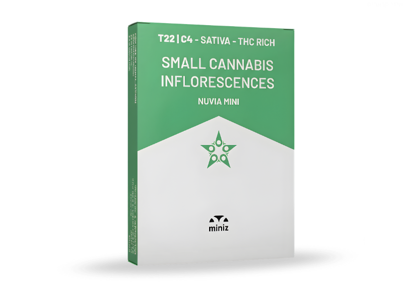 קנאביס רפואי תפרחת נוביה מיני - T22/C4 - Nuvia Mini קנדוק יום - סאטיבה