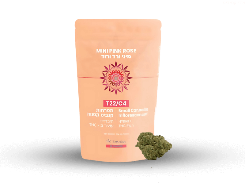 קנאביס רפואי תפרחת פינק רוז מיני - T22/C4 - Pink Rose Mini טוגדר פארמה יום\לילה - היברידי