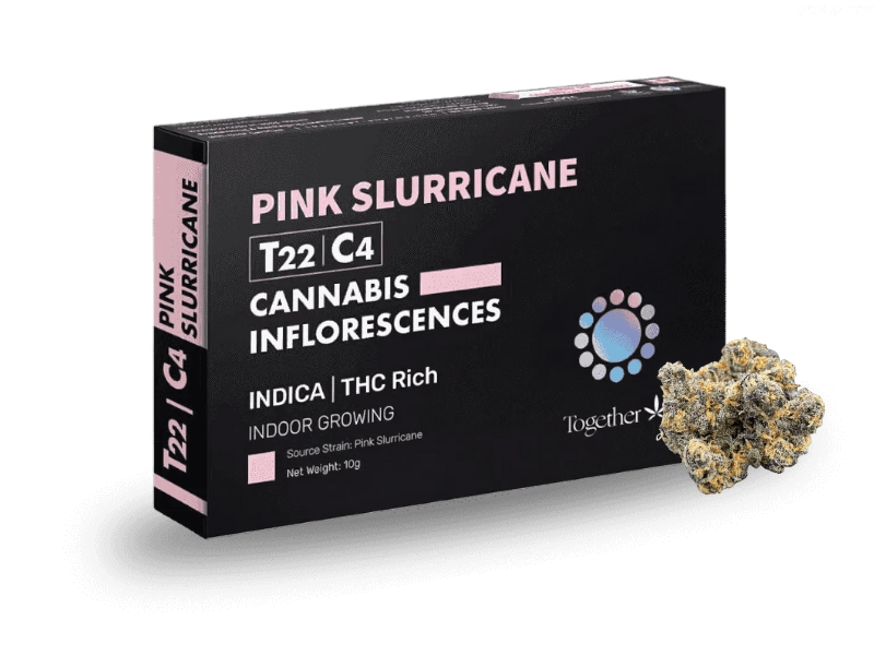 קנאביס רפואי תפרחת פינק סלוריקיין - T22/C4 - Pink Slurricane טוגדר פארמה לילה - אינדיקה