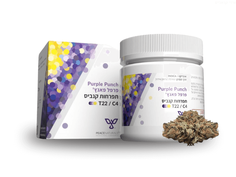 קנאביס רפואי תפרחת פרפל פאנץ' - T22/C4 - Purple Punch פיס נטורלס לילה - אינדיקה