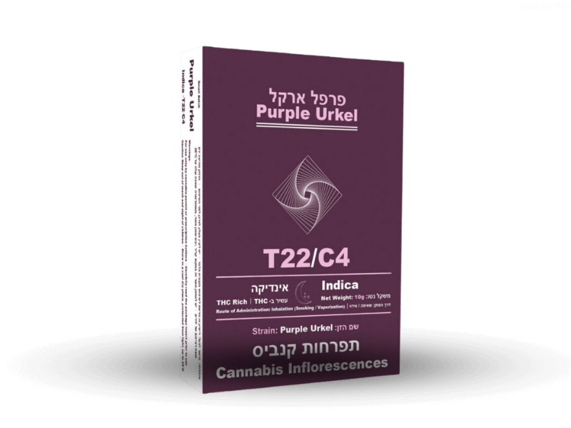 קנאביס רפואי תפרחת פרפל ארקל - T22/C4 - Purple Urkel הרמוני לילה - אינדיקה