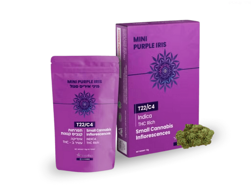 קנאביס רפואי תפרחת פרפל אייריס מיני - T22/C4 - Purple Iris Mini טוגדר פארמה לילה - אינדיקה