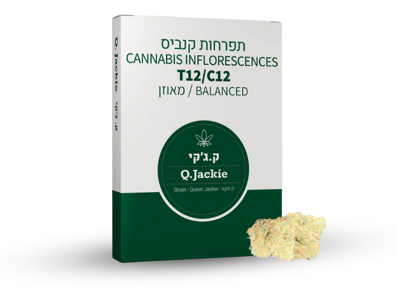 קנאביס רפואי תפרחת ק.ג'קי - T12/C12 - Q.Jackie קנדוק יום\לילה - היברידי